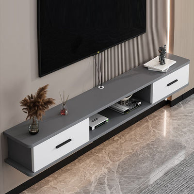 Modern Simplicity Rectangular Plate TV Stand 2-Drawer For Living Room