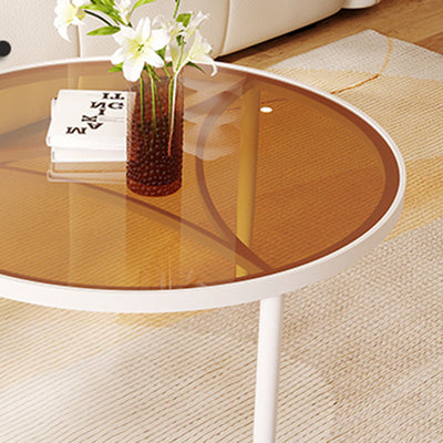 Contemporary Luxury Tempered Glass Iron Wood Coffee Table 1-Tier For Living Room