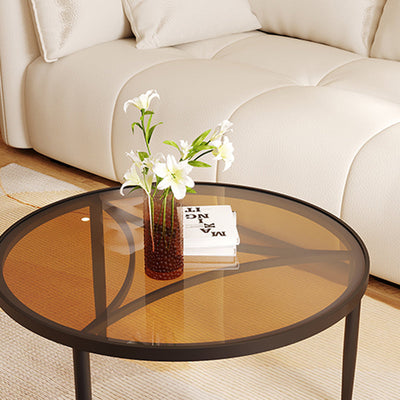 Contemporary Luxury Tempered Glass Iron Wood Coffee Table 1-Tier For Living Room