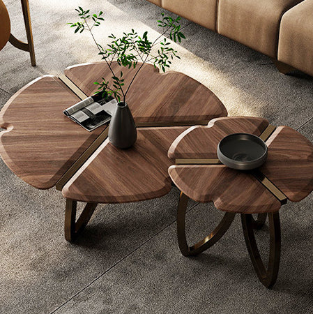 Contemporary Retro Black Walnut Wood Petal Shape Coffee Table For Living Room