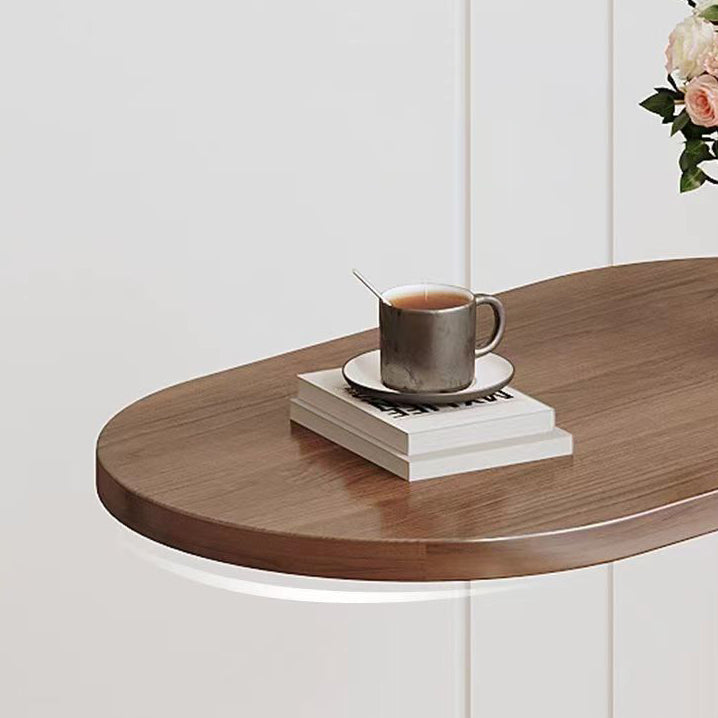 Modern Minimalist Removable Oval Metal Wood End Table For Living Room