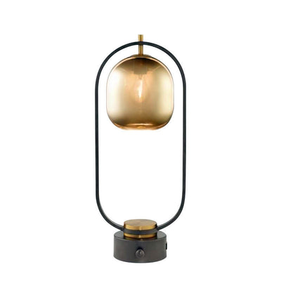 Modern Minimalist Creative Wrought Iron Oval 1-Light Table Lamp