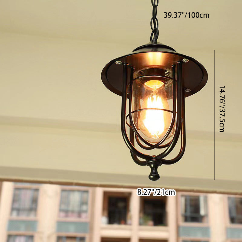 Contemporary Industrial Bird Cage Iron Glass 1-Light Pendant Light For Garden