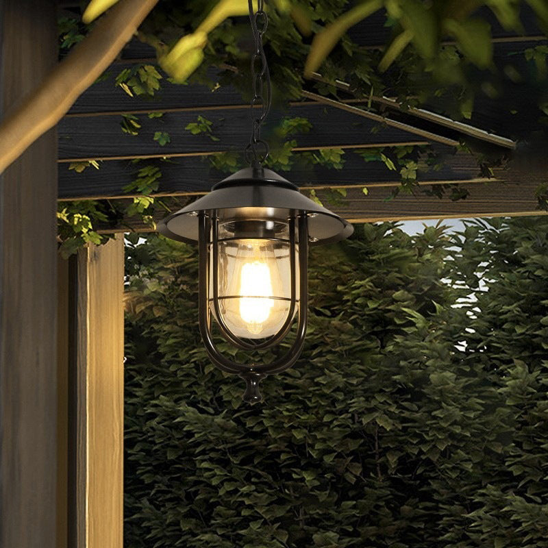 Contemporary Industrial Bird Cage Iron Glass 1-Light Pendant Light For Garden