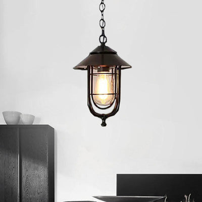 Contemporary Industrial Bird Cage Iron Glass 1-Light Pendant Light For Garden