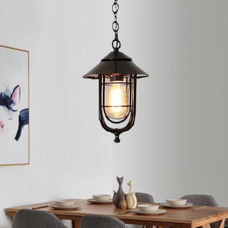 Contemporary Industrial Bird Cage Iron Glass 1-Light Pendant Light For Garden