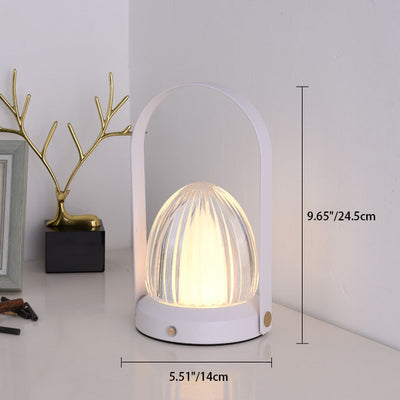 Danish Creative Portable Acrylic Hazelnut Shade Iron Base LED USB Table Lamp