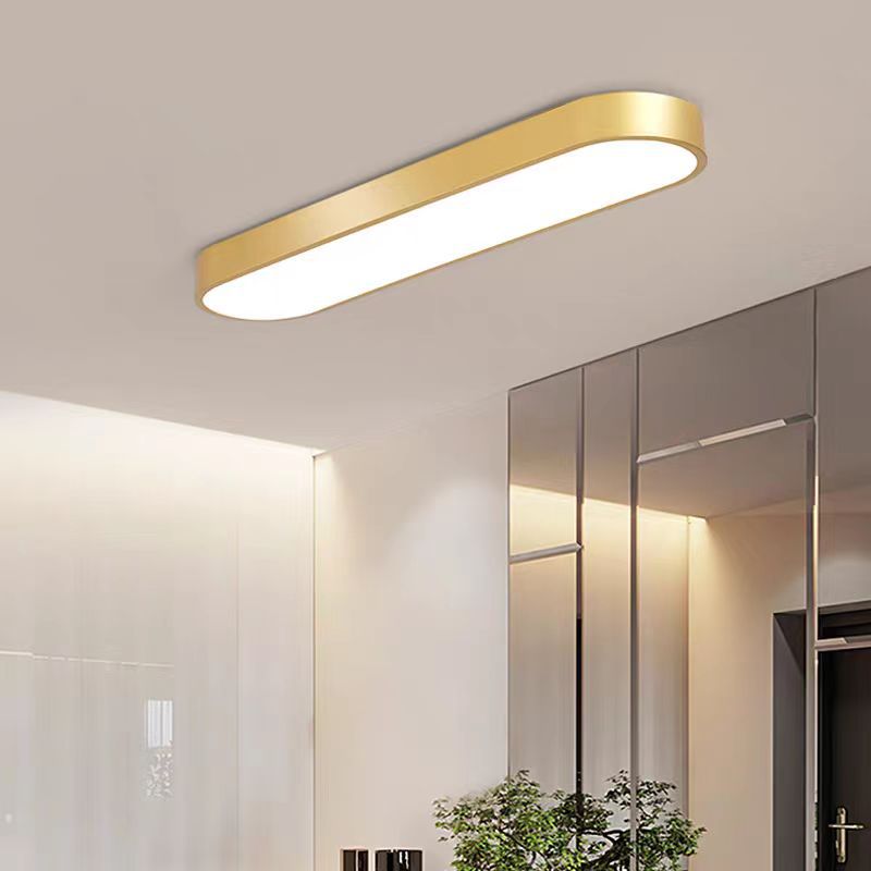 Modern Minimalist Elliptical Strip Iron Acrylic LED Flush Mount Ceiling Light For Hallway