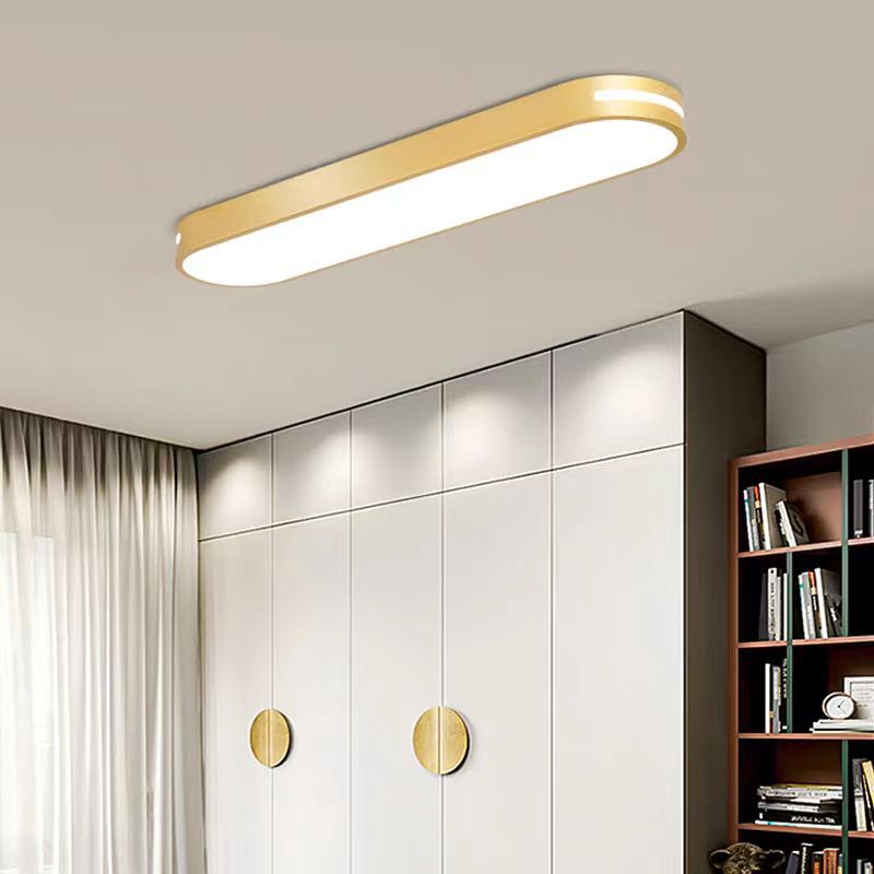 Modern Minimalist Elliptical Strip Iron Acrylic LED Flush Mount Ceiling Light For Hallway