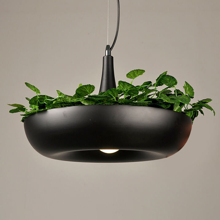 Modern Art Deco Sky Garden Round Shade 1-Light Pendant Light For Dining Room