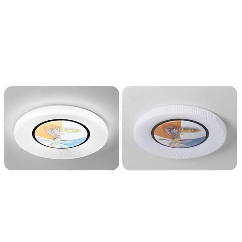 Modern Minimalist Round Painted Acrylic LED Flush Mount Ceiling Light