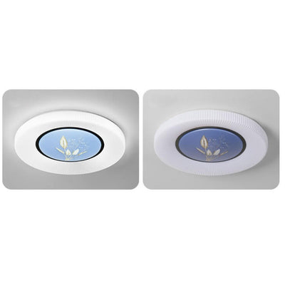 Modern Minimalist Round Painted Acrylic LED Flush Mount Ceiling Light