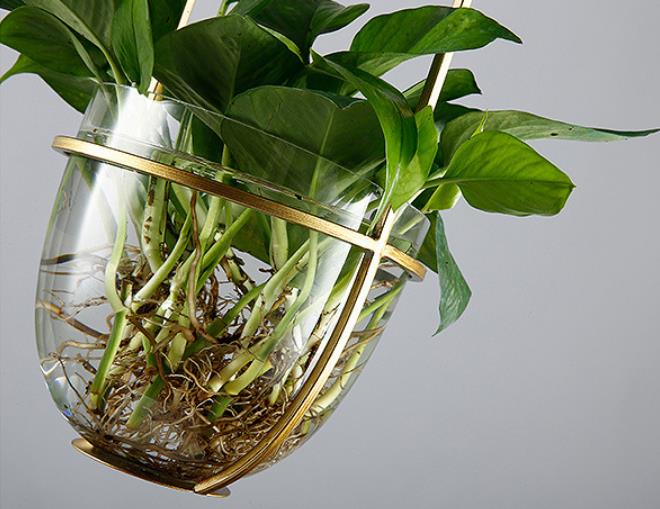 Modern Art Deco Glass Lampshade Creative Plant Hydroponic Hanging Basket 1-Light Pendant Light