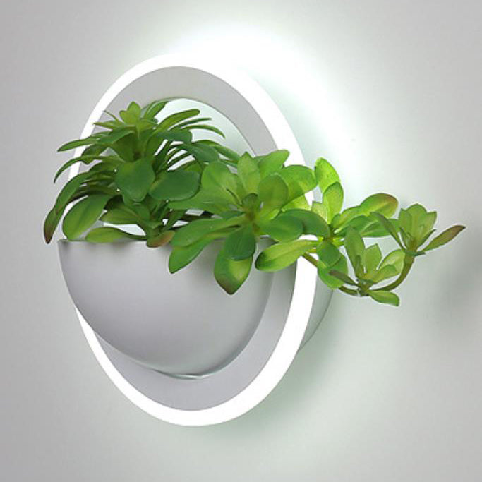 Nordic Iron Round Creative Green Plant LED Wall Sconce Lamp